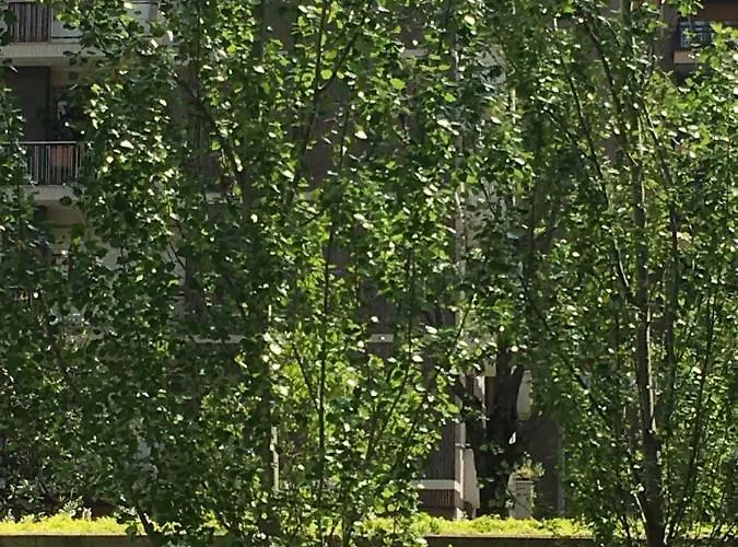 Appartement Loft Giulietta