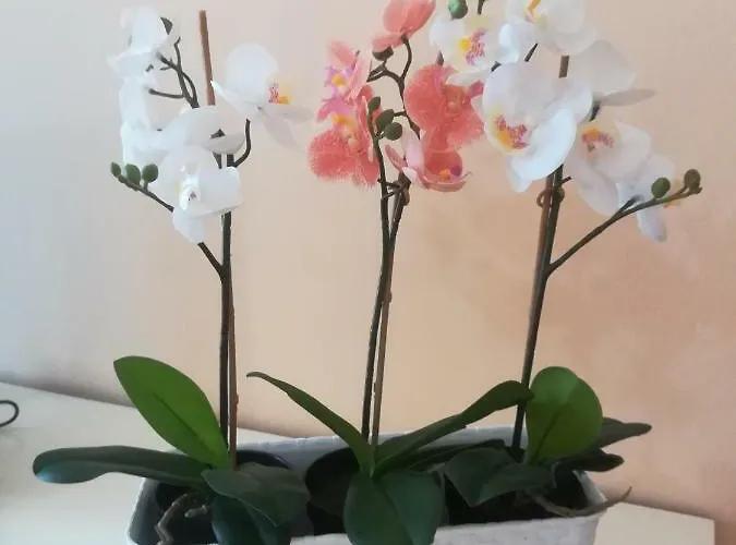 Affittacamere Duomo 15 Minuti Milano