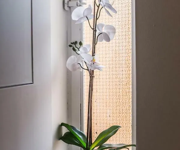 شقة Castle Near Duomo *