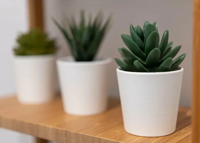 Apartament Station Mediolan