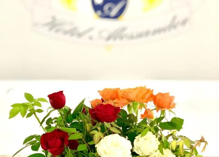 Alessander Hotel Mediolan