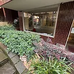 Oasis In The Center Of * ミラノ