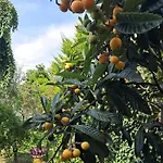 With A Garden Δωμάτια σε οικογενειακή κατοικία *