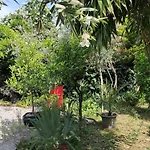 Δωμάτια σε οικογενειακή κατοικία With A Garden *