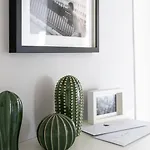 Contrasti - Black & White Apartment