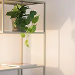 Cozy 3 Bedrooms Buenos Aires - Mirable Pm Apartment *