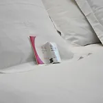 호텔 크라운 플라자 밀란 시티