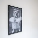 Apartment Luxury37 - Porta Venezia *