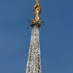 アパート スイート サンタ テクラ ミラノ