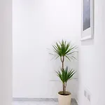 Bed & Garage In מילאנו