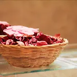 Bed & Breakfast Argentina Milan