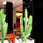 Hotel Iq 4*