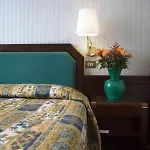 Astoria Sure Collection By Western 3* Milano