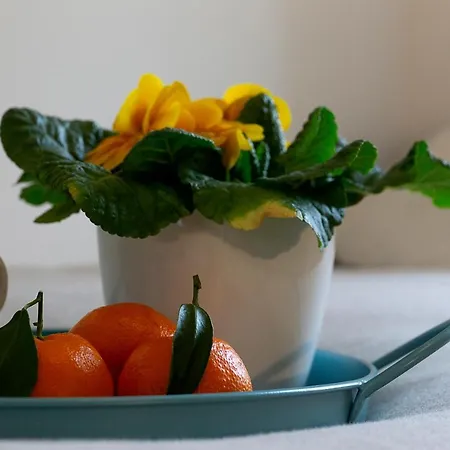La Terrazza Di Barbara