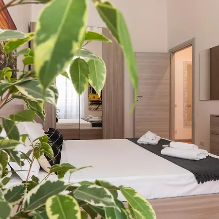 Casa Zara - Metro Lines