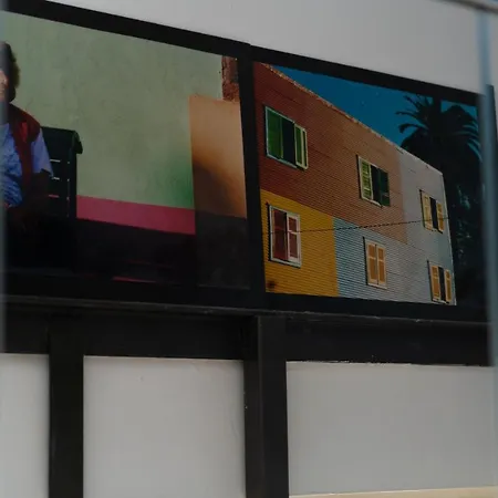 아르모니아&파씨오네