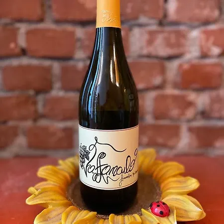 Hotell Il Girasole High Quality