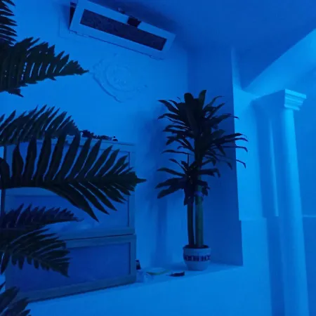 Room In Lodge - Basement In Shared Apartment