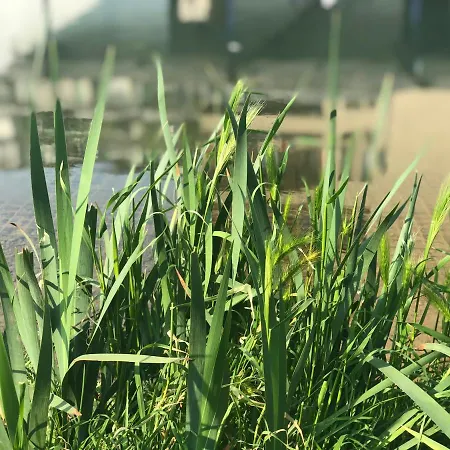 Residenza Fiori Di Grano Alojamento de Acomodação e Pequeno-almoço