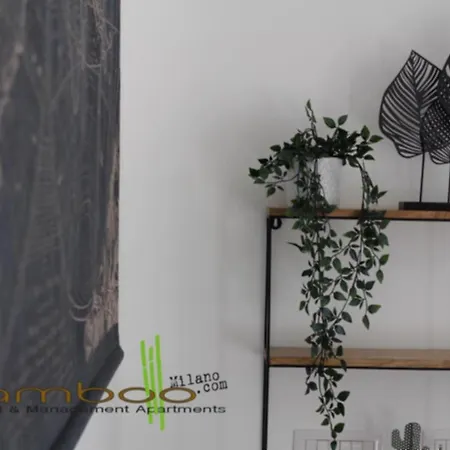 Bamboo Agnesi Milan