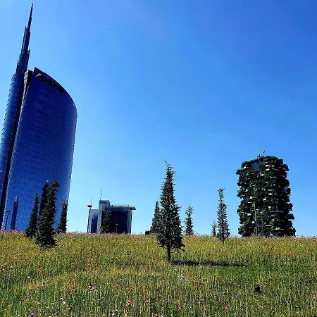 S.ambrogio View * Milan