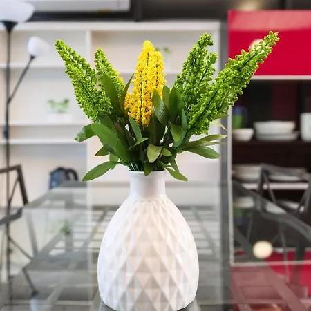 Appartamento Primopiano - Ponzio *