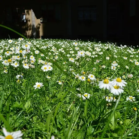 Design District- Navigli Mini Via Tortona 66 شقة