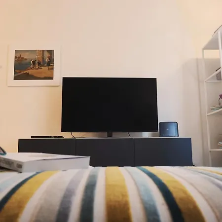 Oreaspiti - Not Only A In Magenta Quarter *