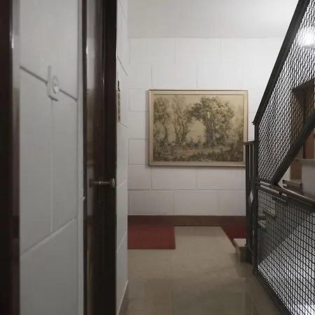 Oreaspiti - Not Only A In Magenta Quarter