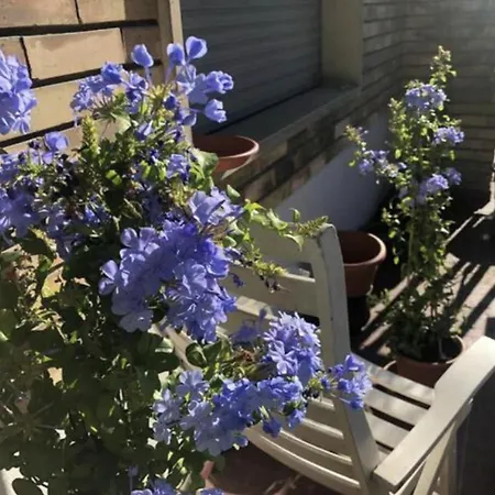 Guest house In Via Tolstoi