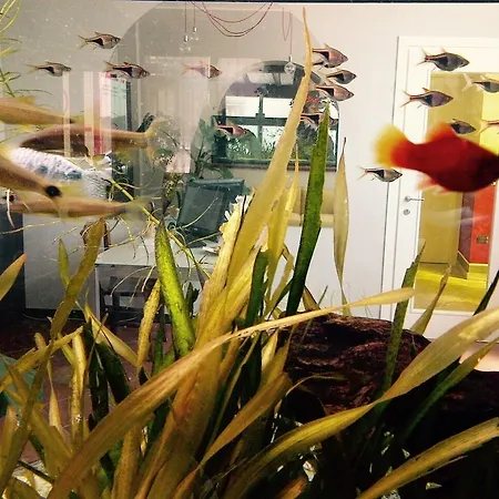 Ai Due Orsi ミラノ
