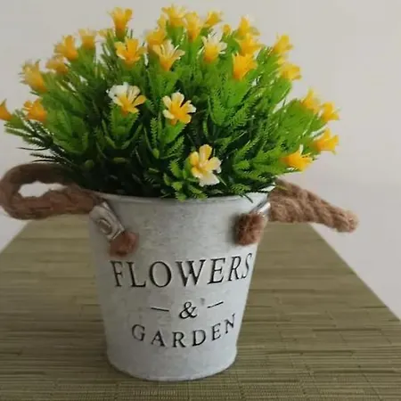 Apartment Duomo Cathedral Milan