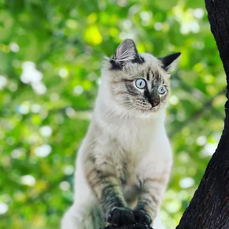 Paradiso Hotel Milano