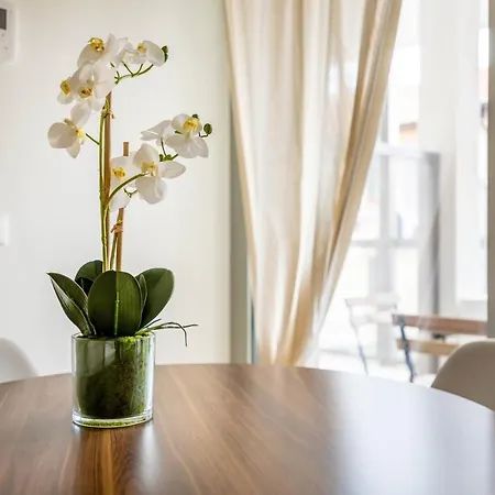 Luvi - De Rolandi - Il Cortile 밀라노