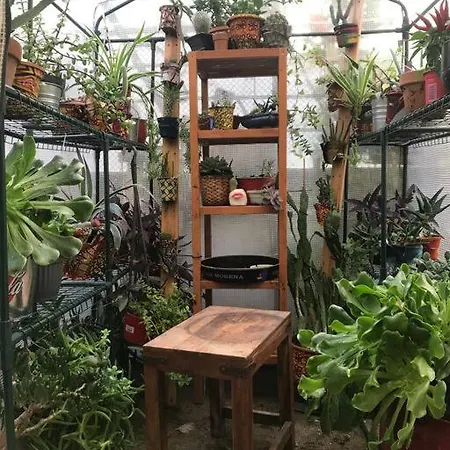 Garden House In Historic Lively Neighbourhood * ميلان
