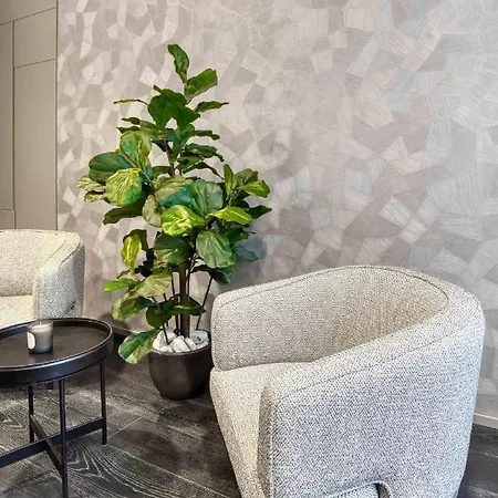 Le Del Corso The Smart Boutique By Ospitami