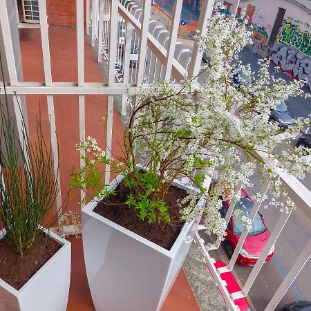 Gallo Gentile, Bilocale A Apartament Mediolan