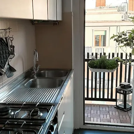 Bright Terrace-garden *