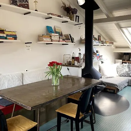 Attic With Terrace And Chimney 公寓 *