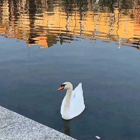 Con Terrazza In Zona Navigli - Tortona Διαμέρισμα