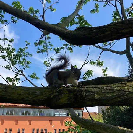 A Casa - Just Like At * Milaan