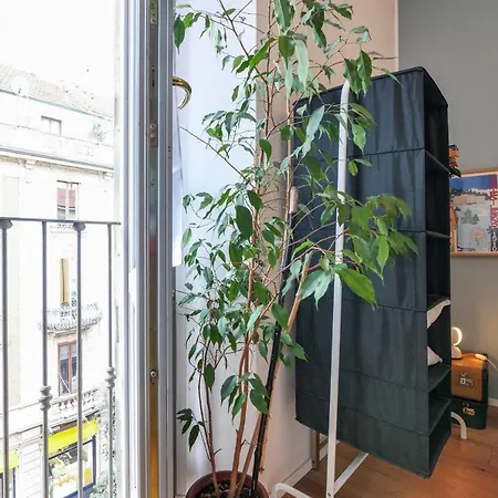 Primopiano - Arnolfo *