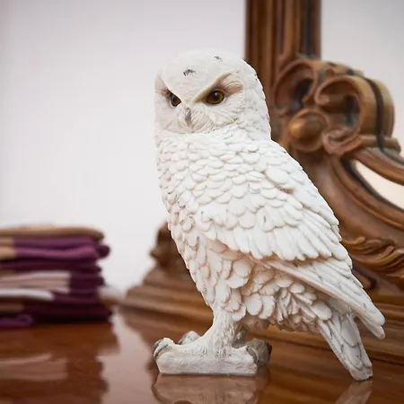 Harry Potter's Magic House - Metro M4 - Linate - Citta Studi ميلان