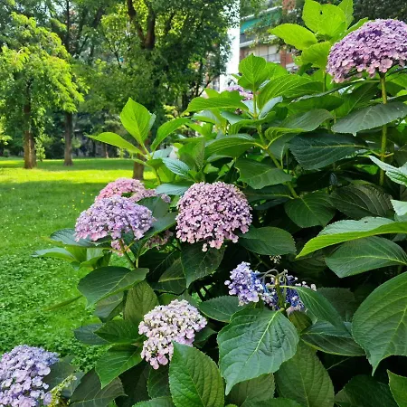 Giardino Sul Naviglio * Milán