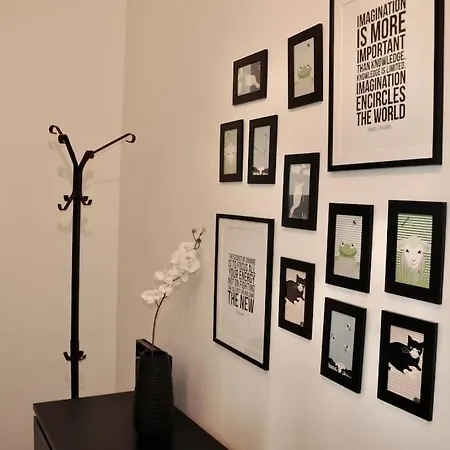 Nolo Black White & Coral *