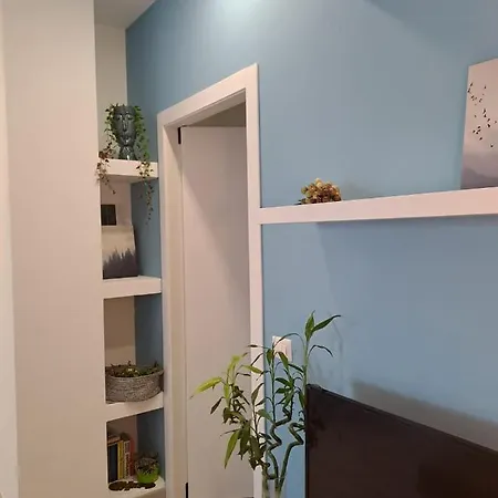 Apartment Casarina *