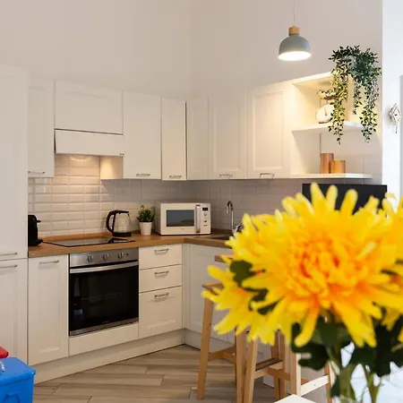 Mezzofanti - Tre Ponti *