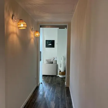 White Cactus House *