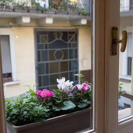 Casa Del Panettone *