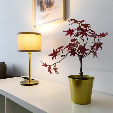 Primopiano - Martorelli *